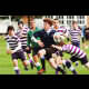 image 33 of 79